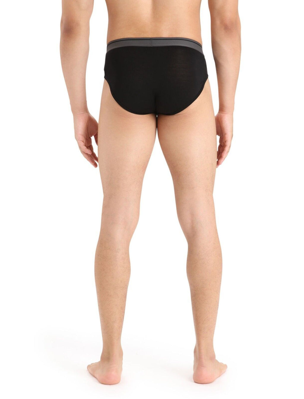 Icebreaker Merino Men's Anatomica Briefs Size Small