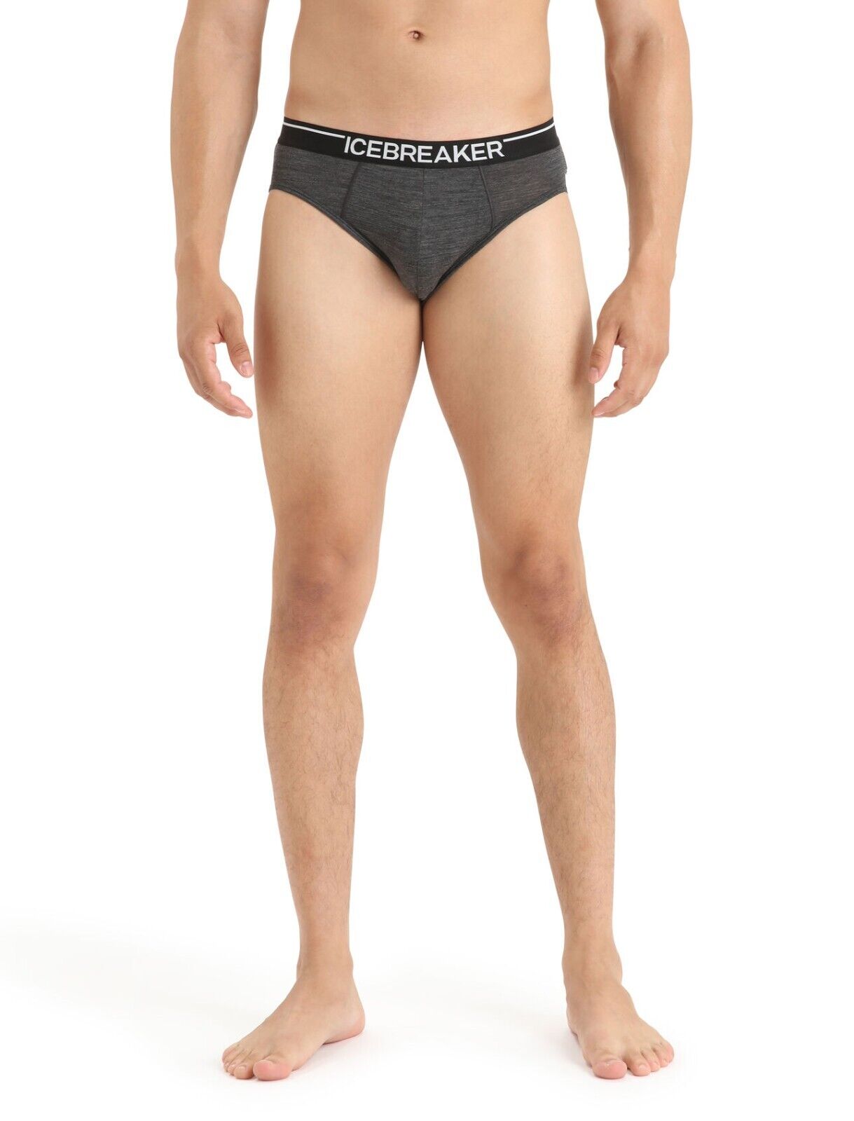 Icebreaker Merino Men's Anatomica Briefs Size Small