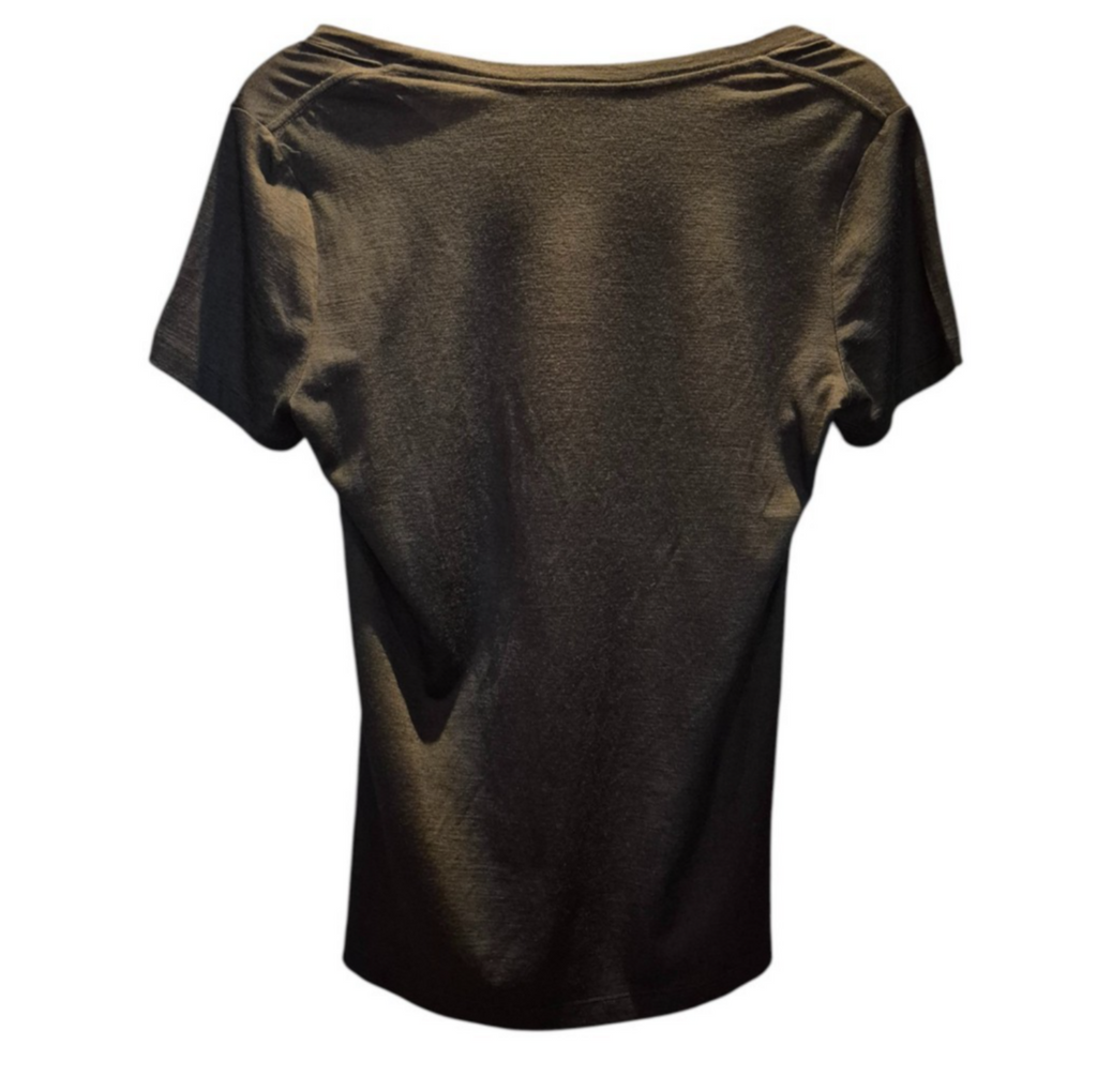 Icebreaker Merino Women's Tech Lite Print Scoop Neck Tee Shirts Large