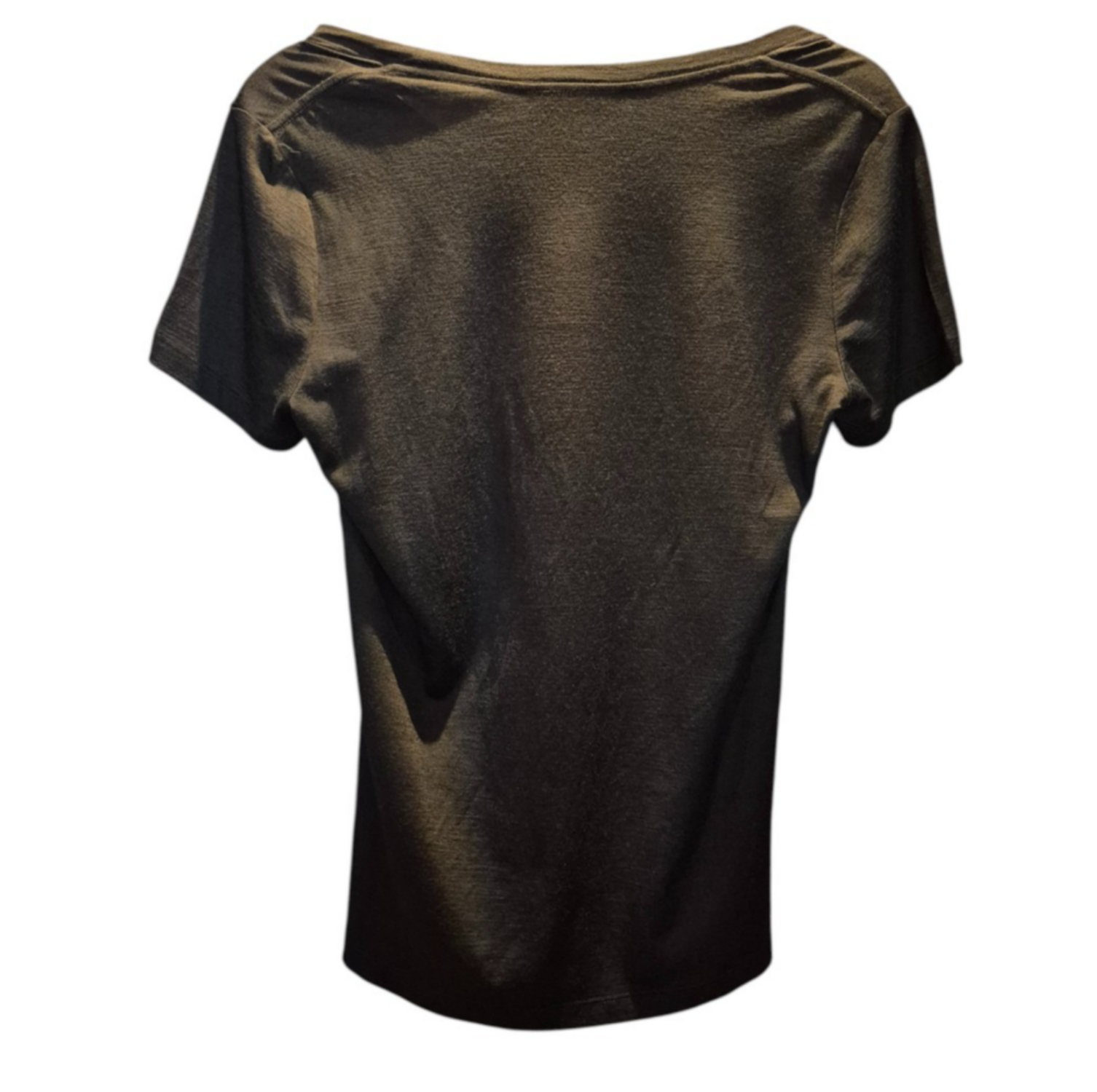 Icebreaker Merino Women's Tech Lite Print Scoop Neck Tee Shirts Large